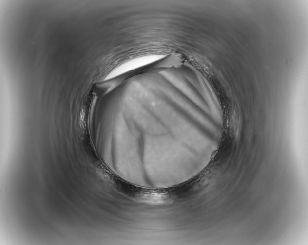 X0000084600610200703161819