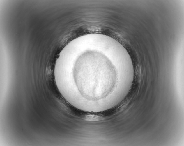 X0000084600614200703161819