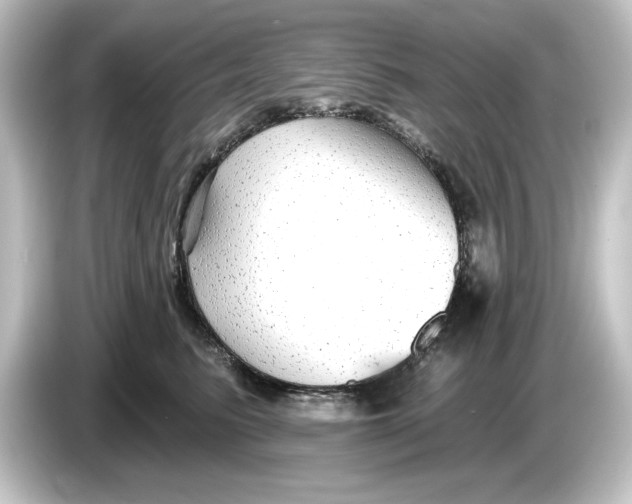 X0000084600615200703161819