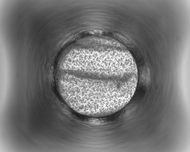 X0000084600616200703161819