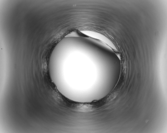 X0000084600617200703161819