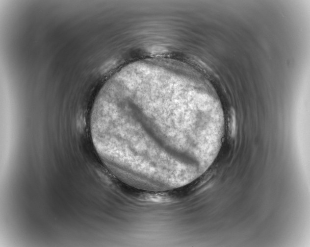 X0000084600618200703161819