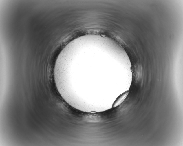 X0000084600619200703161819