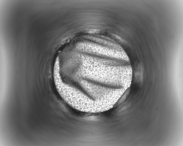 X0000084600620200703161819