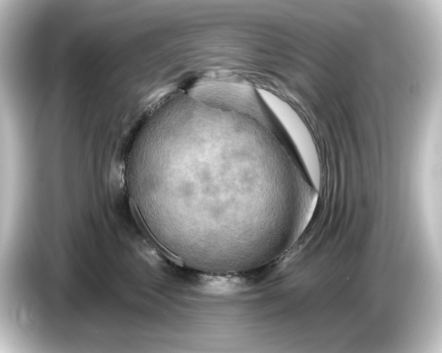 X0000084600621200703161819