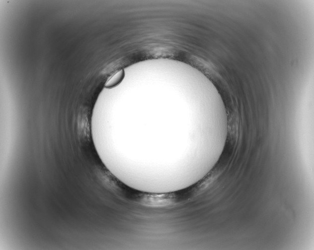 X0000084600622200703161819