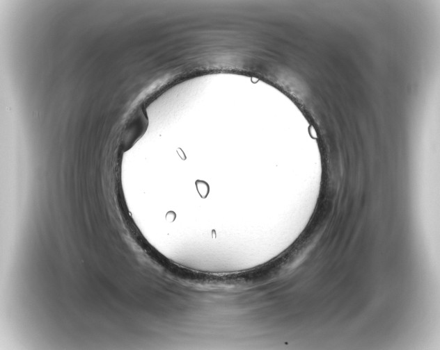 X0000084600625200703161818