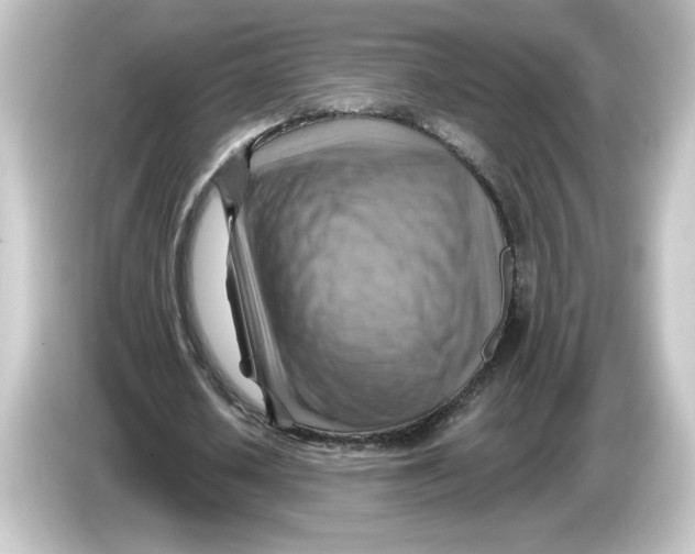 X0000084600626200703161818