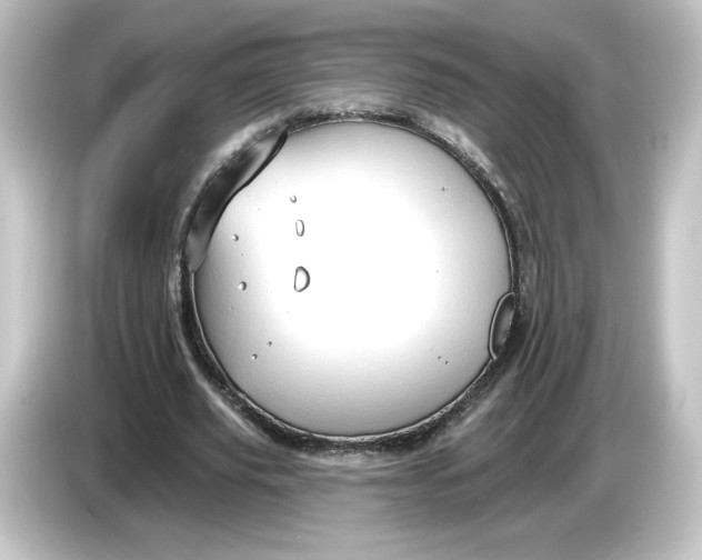 X0000084600629200703161818