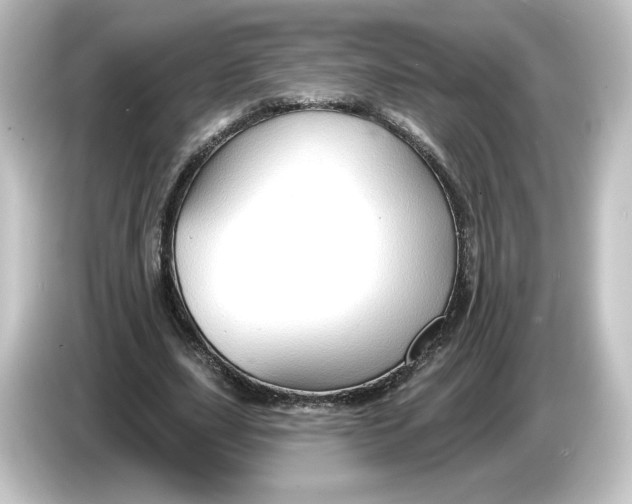 X0000084600631200703161818