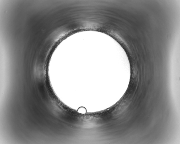 X0000084600632200703161818