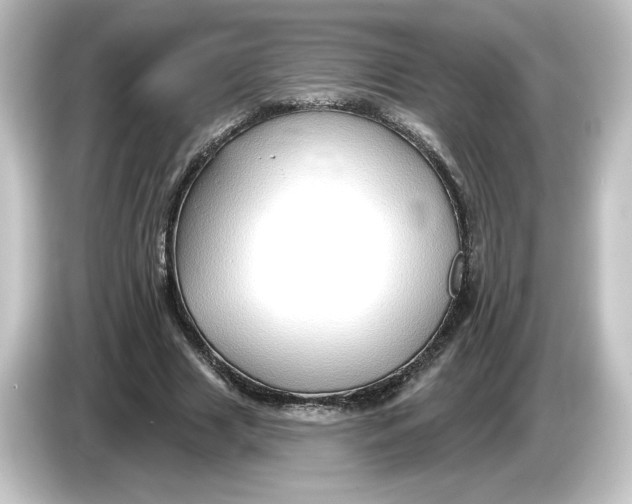 X0000084600633200703161818