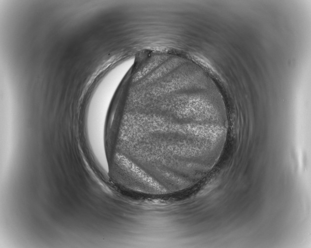 X0000084600634200703161818