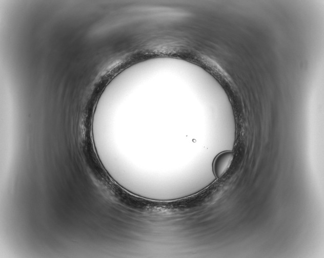 X0000084600635200703161818