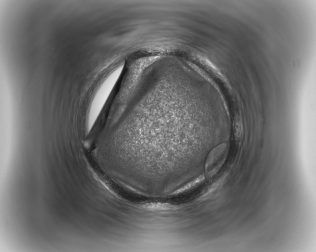 X0000084600637200703161818