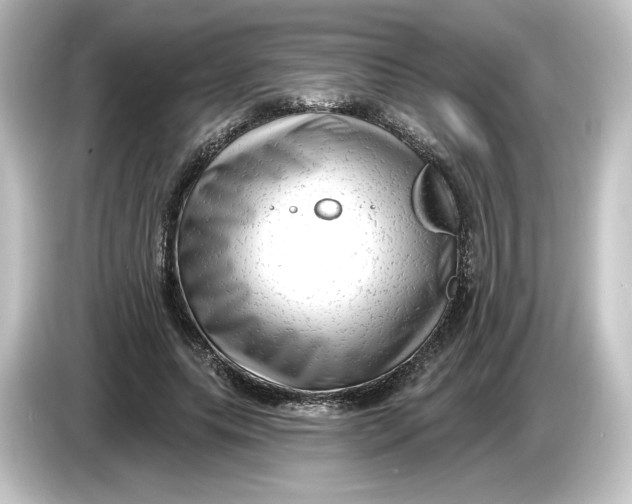 X0000084600639200703161819