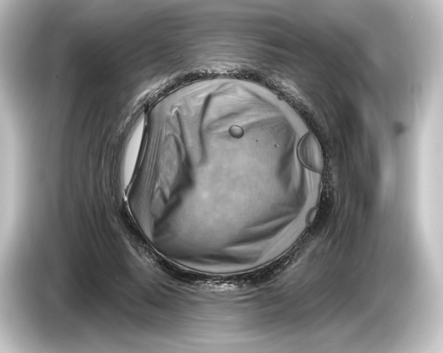 X0000084600640200703161819