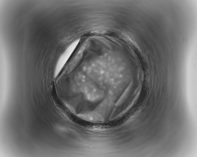 X0000084600641200703161819