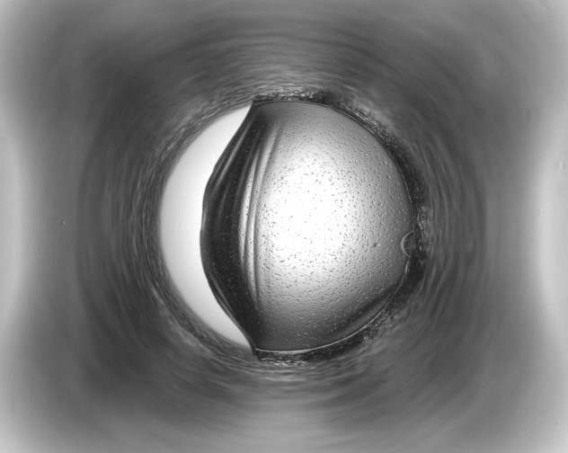 X0000084600642200703161819