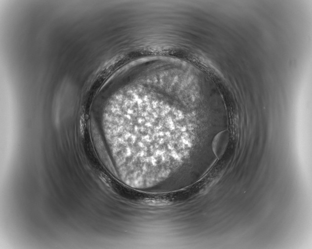 X0000084600644200703161819