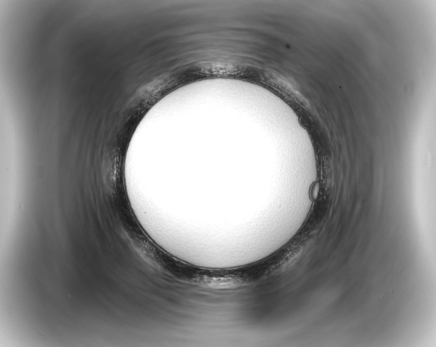 X0000084600645200703161819