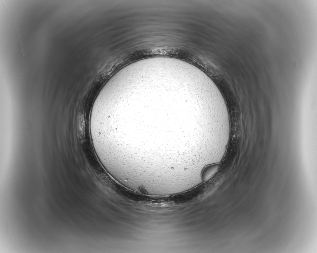 X0000084600646200703161819