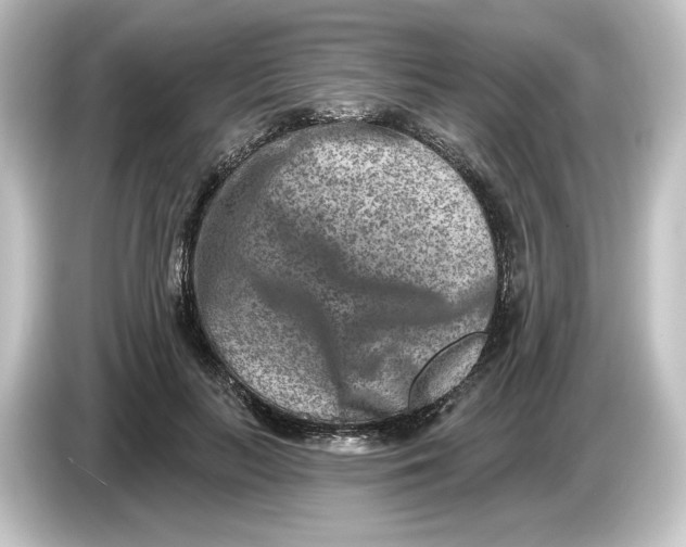 X0000084600647200703161819