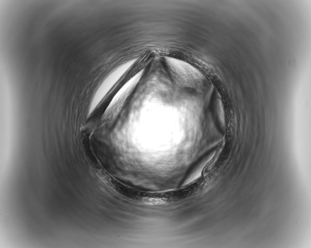 X0000084600649200703161819