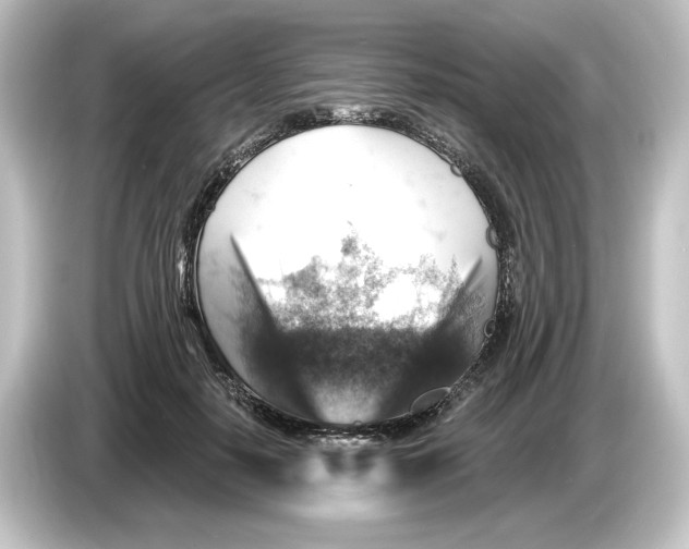 X0000084600650200703161819