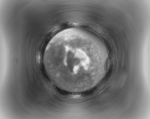 X0000084600651200703161819