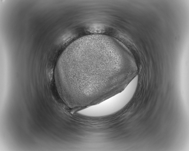 X0000084600652200703161819