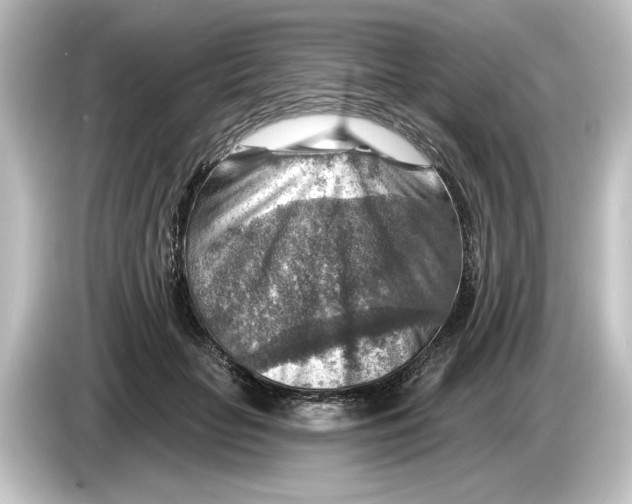 X0000084600653200703161819