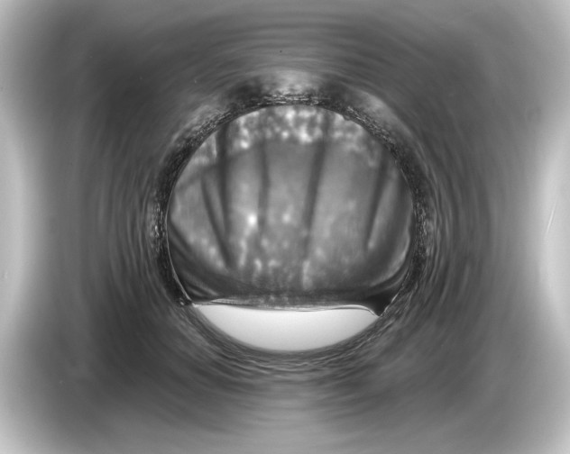 X0000084600654200703161819