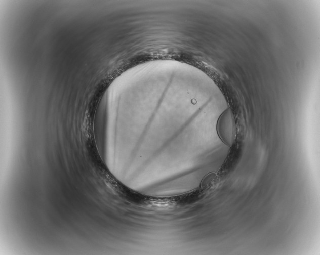 X0000084600659200703161819