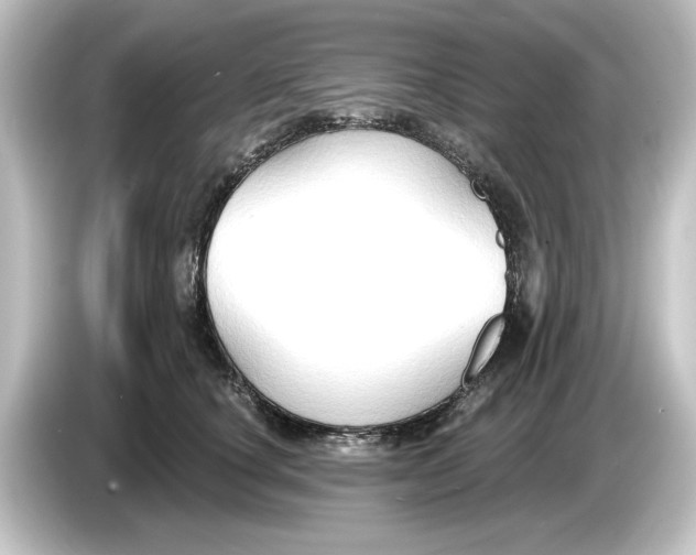 X0000084600660200703161819