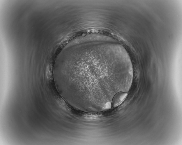 X0000084600661200703161819