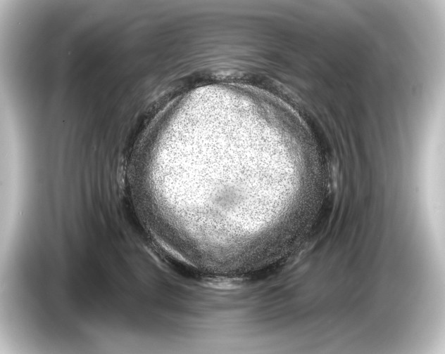 X0000084600664200703161819