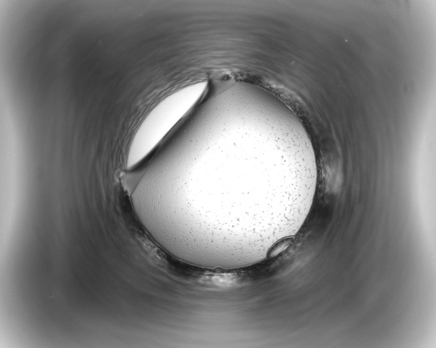 X0000084600665200703161819