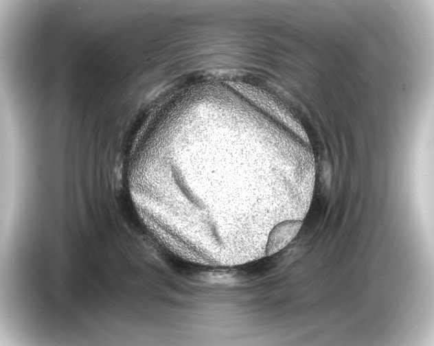 X0000084600668200703161819