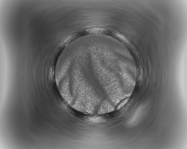 X0000084600669200703161819