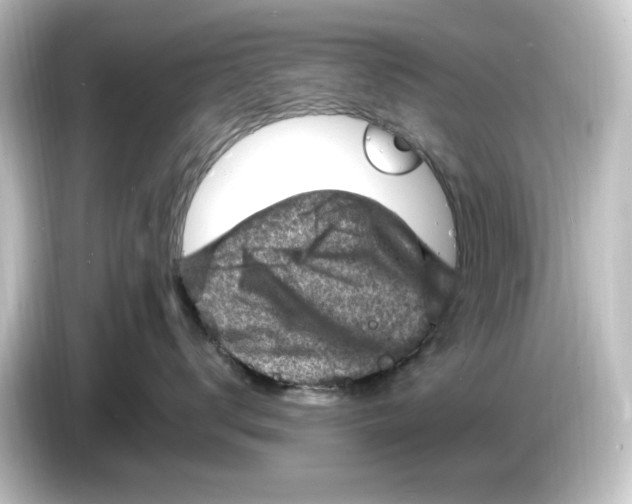 X0000084600672200703161819