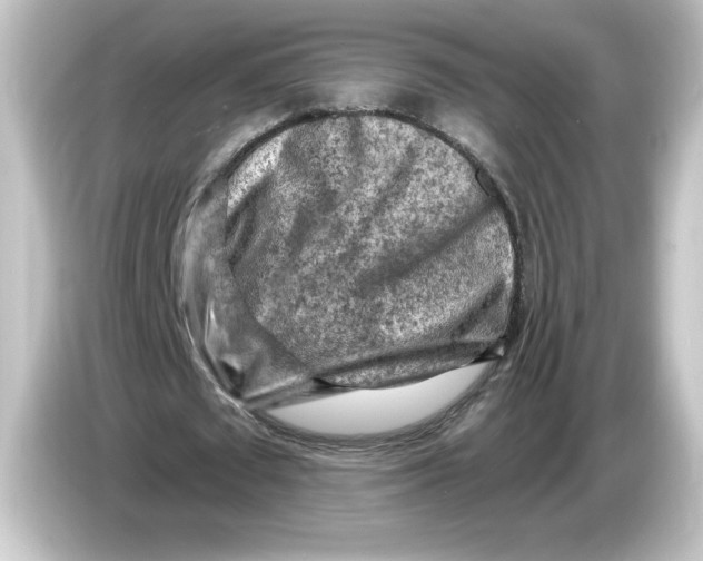 X0000084600673200703161818