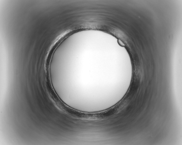 X0000084600674200703161818