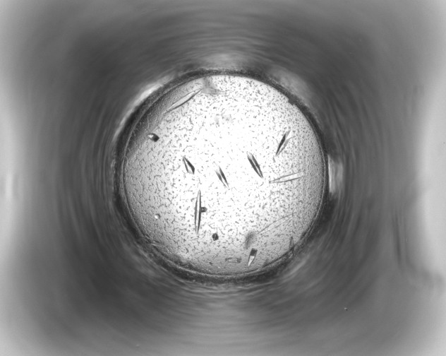 X0000084600675200703161818