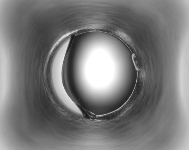 X0000084600676200703161818