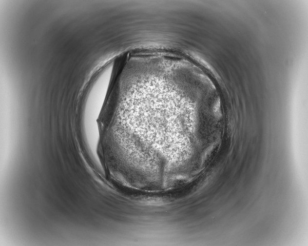 X0000084600677200703161818