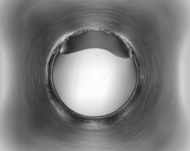 X0000084600678200703161818