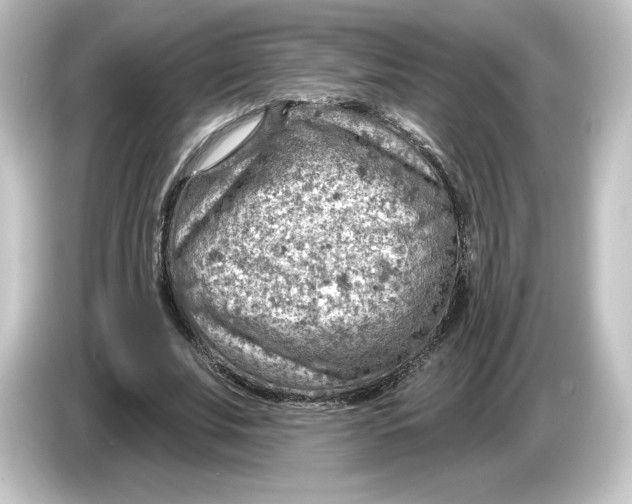 X0000084600679200703161818