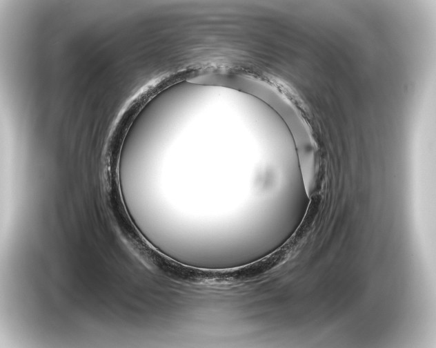 X0000084600680200703161818