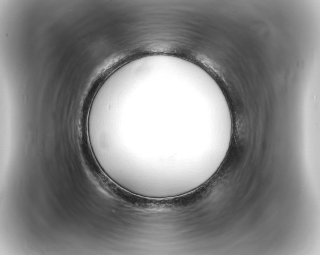 X0000084600682200703161818